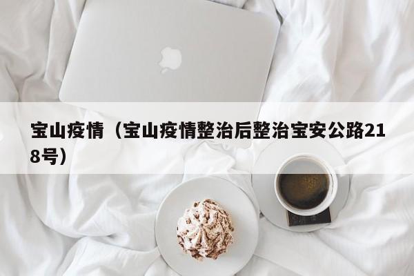 宝山疫情（宝山疫情整治后整治宝安公路218号）