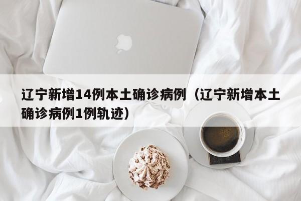 辽宁新增14例本土确诊病例（辽宁新增本土确诊病例1例轨迹）