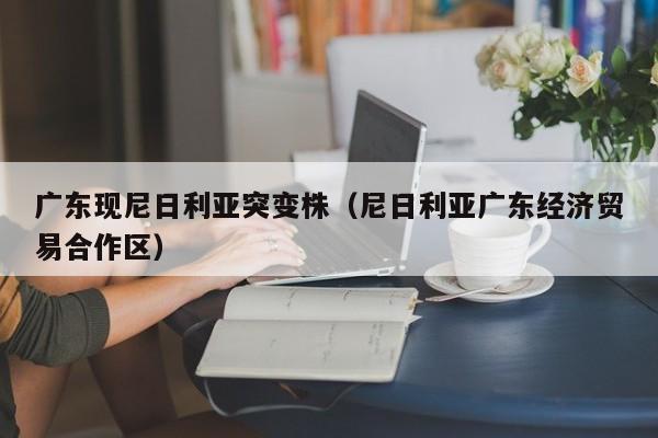 广东现尼日利亚突变株（尼日利亚广东经济贸易合作区）