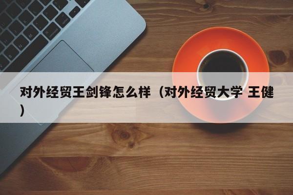 对外经贸王剑锋怎么样（对外经贸大学 王健）