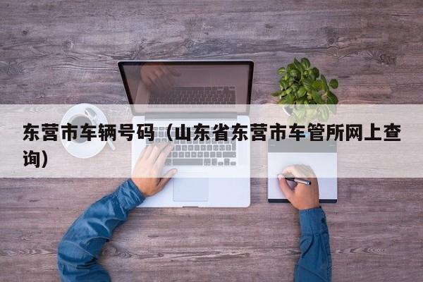 东营市车辆号码（山东省东营市车管所网上查询）