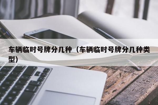 车辆临时号牌分几种（车辆临时号牌分几种类型）