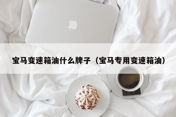 宝马变速箱油什么牌子（宝马专用变速箱油）