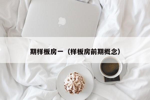 期样板房一（样板房前期概念）