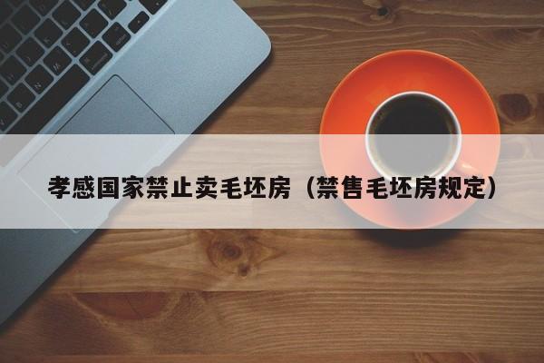 孝感国家禁止卖毛坯房（禁售毛坯房规定）